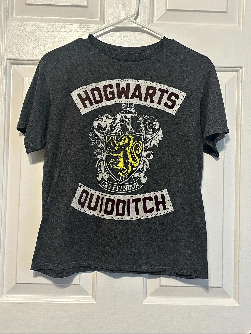 Kids Harry Potter Hogwarts Quidditch Graphic Tee in Gray